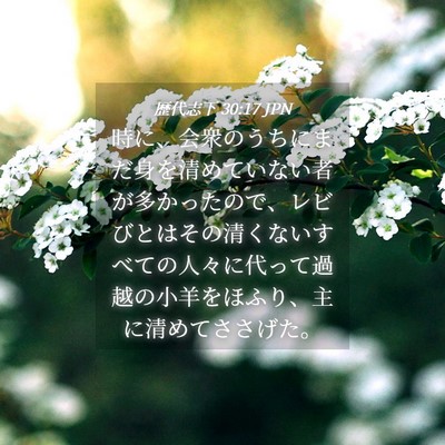 Picture 04 - 歴代志下 30:17 JPN - 時に、会衆のうちにまだ身を清めて - Bible Verse Picture