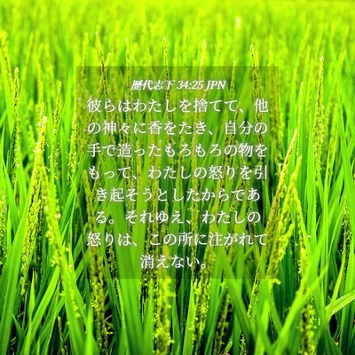 Picture 04 - 歴代志下 34:25 JPN - 彼らはわたしを捨てて、他の神々に - Bible Verse Picture