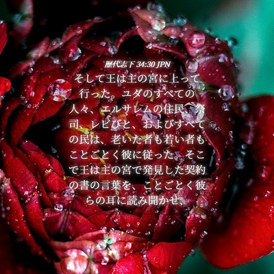 Picture 04 - 歴代志下 34:30 JPN - そして王は主の宮に上って行った。 - Bible Verse Picture