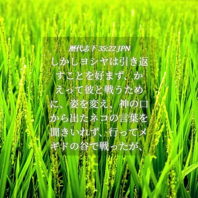Picture 04 - 歴代志下 35:22 JPN - しかしヨシヤは引き返すことを好ま - Bible Verse Picture
