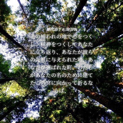 Picture 04 - 歴代志下 6:38 JPN - その捕われの地で心をつくし、精神 - Bible Verse Picture