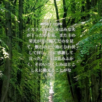 Picture 04 - 歴代志下 7:3 JPN - イスラエルの人々はみな火が下った - Bible Verse Picture
