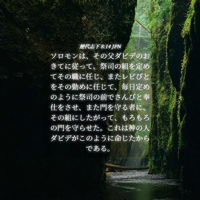Picture 04 - 歴代志下 8:14 JPN - ソロモンは、その父ダビデのおきて - Bible Verse Picture