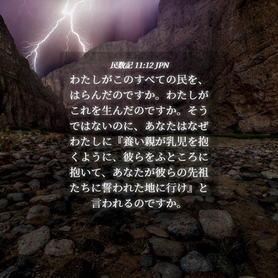 Picture 04 - 民数記 11:12 JPN - わたしがこのすべての民を、はらん - Bible Verse Picture