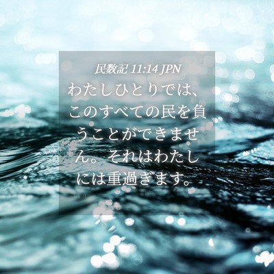 Picture 04 - 民数記 11:14 JPN - わたしひとりでは、このすべての民 - Bible Verse Picture