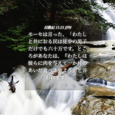 Picture 04 - 民数記 11:21 JPN - モーセは言った、「わたしと共にお - Bible Verse Picture