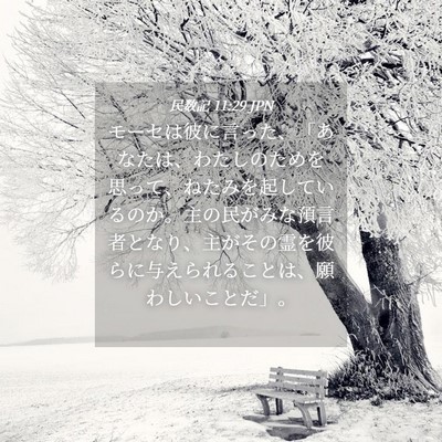 Picture 04 - 民数記 11:29 JPN - モーセは彼に言った、「あなたは、 - Bible Verse Picture