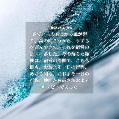 Picture 04 - 民数記 11:31 JPN - さて、主のもとから風が起り、海の - Bible Verse Picture