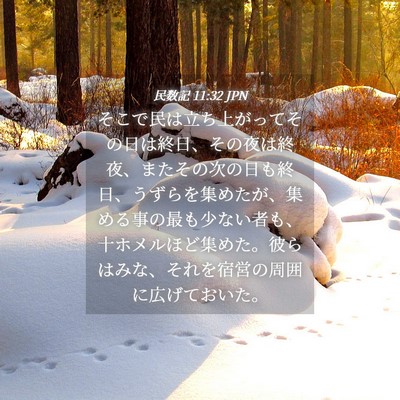 Picture 04 - 民数記 11:32 JPN - そこで民は立ち上がってその日は終 - Bible Verse Picture