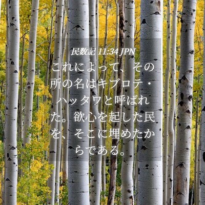 Picture 04 - 民数記 11:34 JPN - これによって、その所の名はキブロ - Bible Verse Picture
