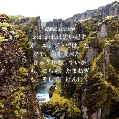 Picture 04 - 民数記 11:5 JPN - われわれは思い起すが、エジプトで - Bible Verse Picture