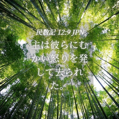 Picture 04 - 民数記 12:9 JPN - 主は彼らにむかい怒りを発して去ら - Bible Verse Picture