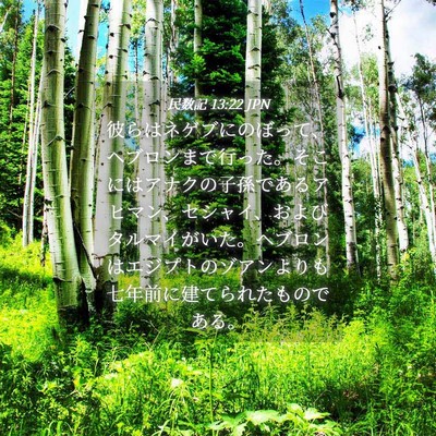 Picture 04 - 民数記 13:22 JPN - 彼らはネゲブにのぼって、ヘブロン - Bible Verse Picture