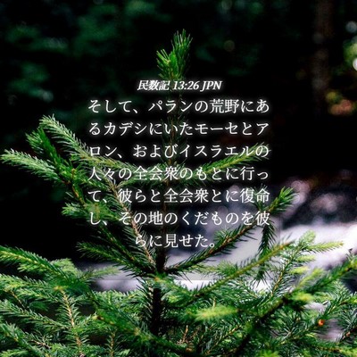 Picture 04 - 民数記 13:26 JPN - そして、パランの荒野にあるカデシ - Bible Verse Picture