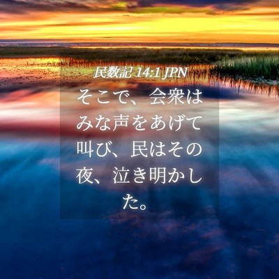 Picture 04 - 民数記 14:1 JPN - そこで、会衆はみな声をあげて叫び - Bible Verse Picture