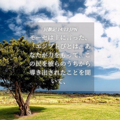 Picture 04 - 民数記 14:13 JPN - モーセは主に言った、「エジプトび - Bible Verse Picture
