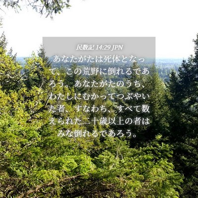 Picture 04 - 民数記 14:29 JPN - あなたがたは死体となって、この荒 - Bible Verse Picture