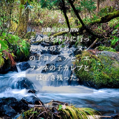 Picture 04 - 民数記 14:38 JPN - その地を探りに行った人々のうち、 - Bible Verse Picture