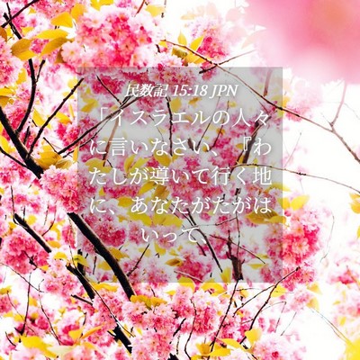 Picture 04 - 民数記 15:18 JPN - 「イスラエルの人々に言いなさい、 - Bible Verse Picture
