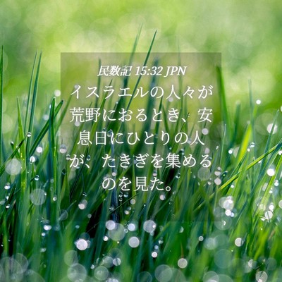 Picture 04 - 民数記 15:32 JPN - イスラエルの人々が荒野におるとき - Bible Verse Picture