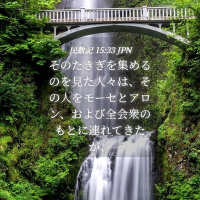 Picture 04 - 民数記 15:33 JPN - そのたきぎを集めるのを見た人々は - Bible Verse Picture