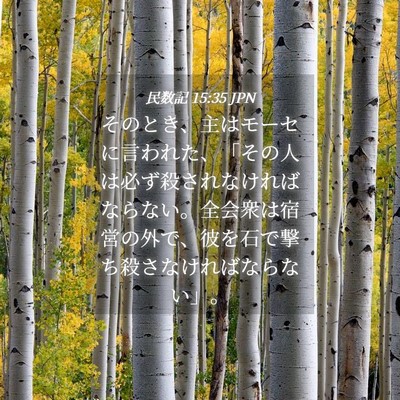 Picture 04 - 民数記 15:35 JPN - そのとき、主はモーセに言われた、 - Bible Verse Picture