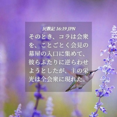 Picture 04 - 民数記 16:19 JPN - そのとき、コラは会衆を、ことごと - Bible Verse Picture
