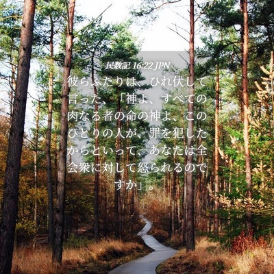Picture 04 - 民数記 16:22 JPN - 彼らふたりは、ひれ伏して言った、 - Bible Verse Picture