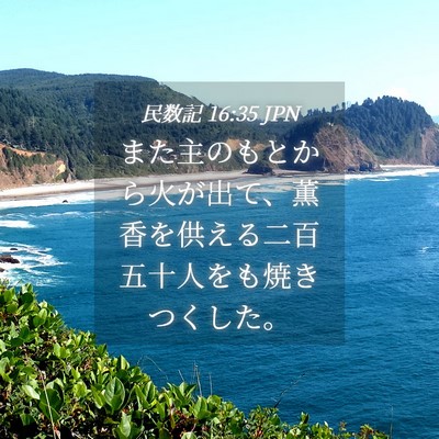 Picture 04 - 民数記 16:35 JPN - また主のもとから火が出て、薫香を - Bible Verse Picture