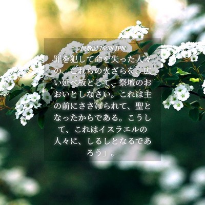 Picture 04 - 民数記 16:38 JPN - 罪を犯して命を失った人々の、これ - Bible Verse Picture