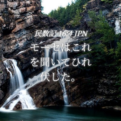 Picture 04 - 民数記 16:4 JPN - モーセはこれを聞いてひれ伏した。 - Bible Verse Picture