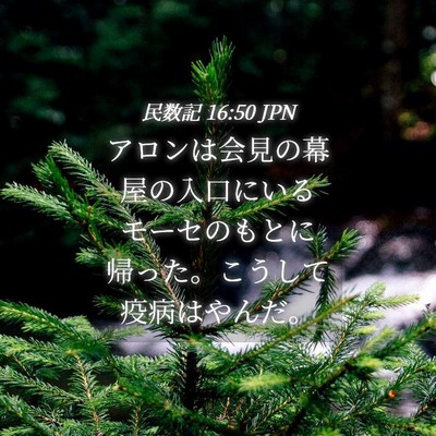 Picture 04 - 民数記 16:50 JPN - アロンは会見の幕屋の入口にいるモ - Bible Verse Picture