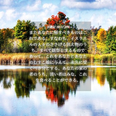 Picture 04 - 民数記 18:11 JPN - またあなたに帰すべきものはこれで - Bible Verse Picture