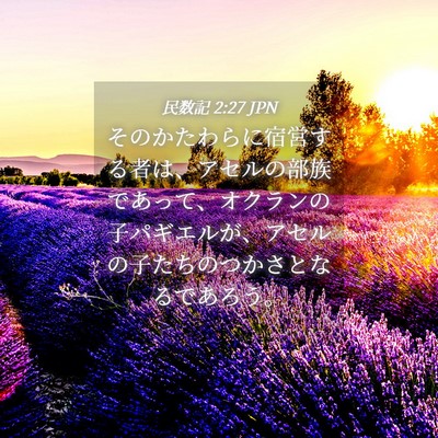 Picture 04 - 民数記 2:27 JPN - そのかたわらに宿営する者は、アセ - Bible Verse Picture