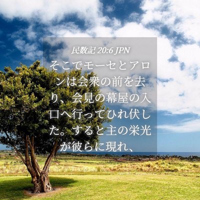 Picture 04 - 民数記 20:6 JPN - そこでモーセとアロンは会衆の前を - Bible Verse Picture