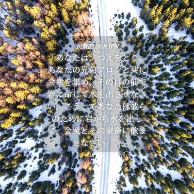 Picture 04 - 民数記 20:8 JPN - 「あなたは、つえをとり、あなたの - Bible Verse Picture