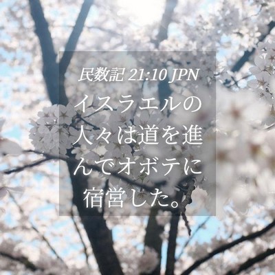Picture 04 - 民数記 21:10 JPN - イスラエルの人々は道を進んでオボ - Bible Verse Picture