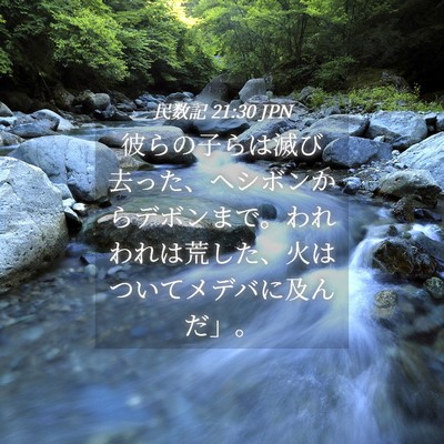 Picture 04 - 民数記 21:30 JPN - 彼らの子らは滅び去った、ヘシボン - Bible Verse Picture