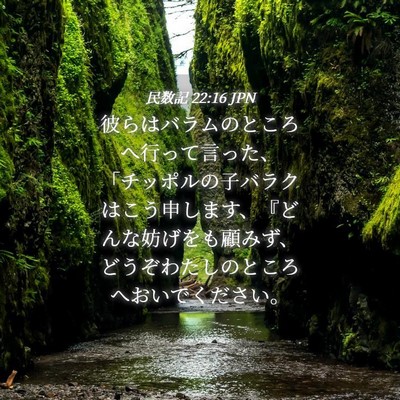 Picture 04 - 民数記 22:16 JPN - 彼らはバラムのところへ行って言っ - Bible Verse Picture