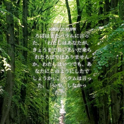 Picture 04 - 民数記 22:30 JPN - ろばはまたバラムに言った、「わた - Bible Verse Picture