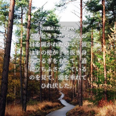 Picture 04 - 民数記 22:31 JPN - このとき主がバラムの目を開かれた - Bible Verse Picture