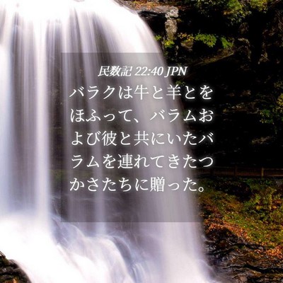 Picture 04 - 民数記 22:40 JPN - バラクは牛と羊とをほふって、バラ - Bible Verse Picture