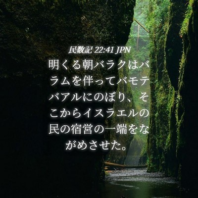 Picture 04 - 民数記 22:41 JPN - 明くる朝バラクはバラムを伴ってバ - Bible Verse Picture