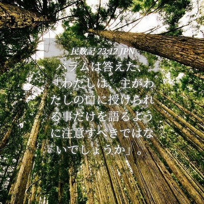 Picture 04 - 民数記 23:12 JPN - バラムは答えた、「わたしは、主が - Bible Verse Picture