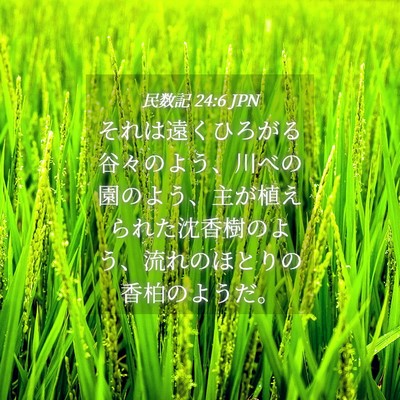 Picture 04 - 民数記 24:6 JPN - それは遠くひろがる谷々のよう、川 - Bible Verse Picture