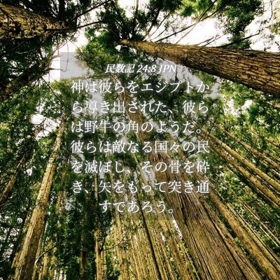 Picture 04 - 民数記 24:8 JPN - 神は彼らをエジプトから導き出され - Bible Verse Picture