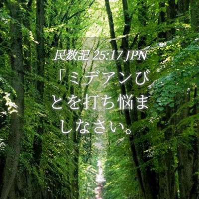 Picture 04 - 民数記 25:17 JPN - 「ミデアンびとを打ち悩ましなさい - Bible Verse Picture