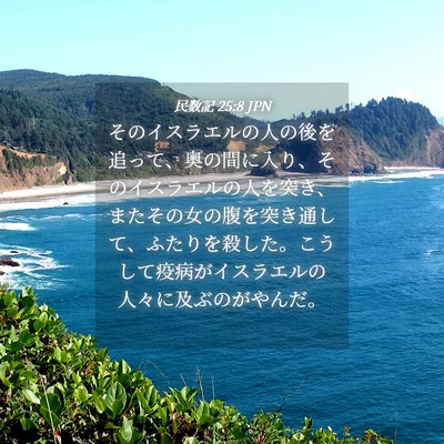 Picture 04 - 民数記 25:8 JPN - そのイスラエルの人の後を追って、 - Bible Verse Picture