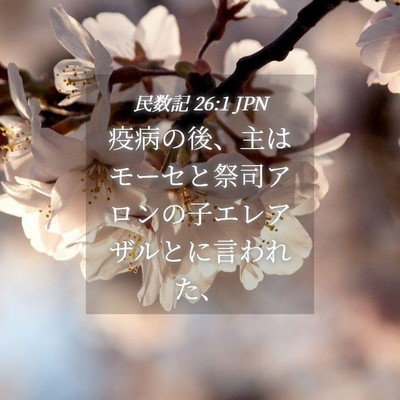 Picture 04 - 民数記 26:1 JPN - 疫病の後、主はモーセと祭司アロン - Bible Verse Picture