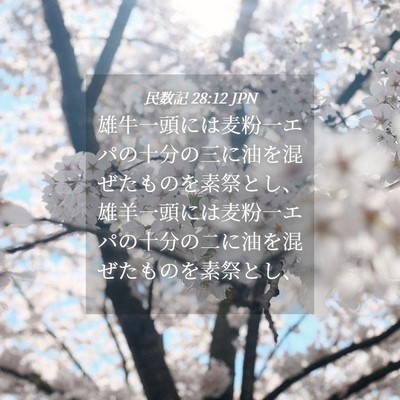 Picture 04 - 民数記 28:12 JPN - 雄牛一頭には麦粉一エパの十分の三 - Bible Verse Picture